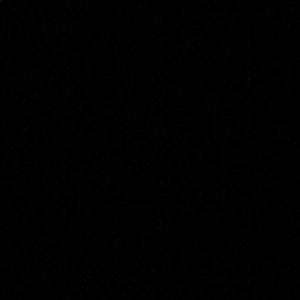 Meet your Posher, Damien